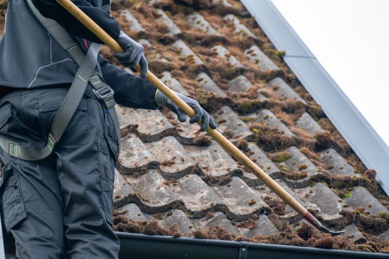 Contact About Roof Fungus Removal