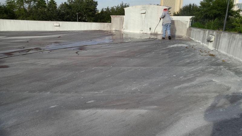 Roof Fungus Removal